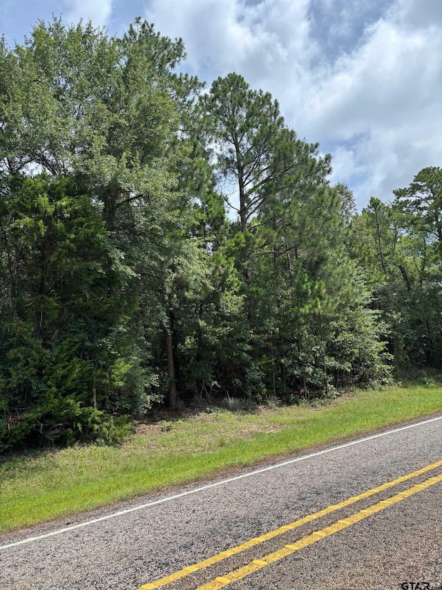 4453 Fm 49, Mineola, TX 75773 - photo 9