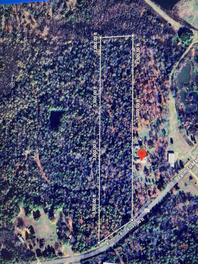 4453 Fm 49, Mineola, TX 75773 - photo 1