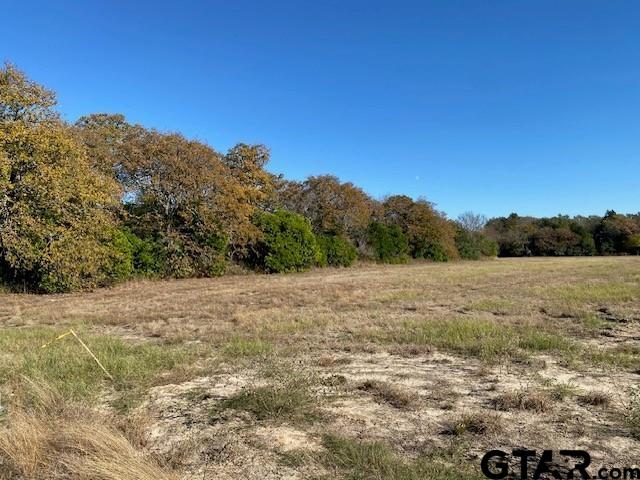 TR7 Meadow Park, Athens TX, 75752 land for sale