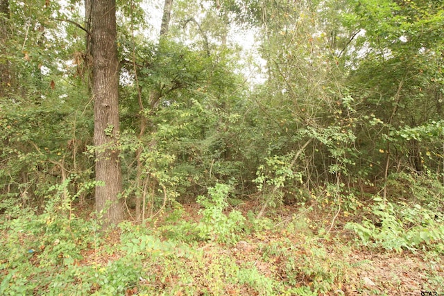 LOT293 Eastwood Dr, Gilmer TX, 75644 land for sale