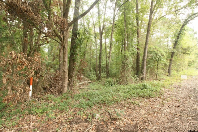 Listing photo 3 for LOT293 Eastwood Dr, Gilmer TX 75644