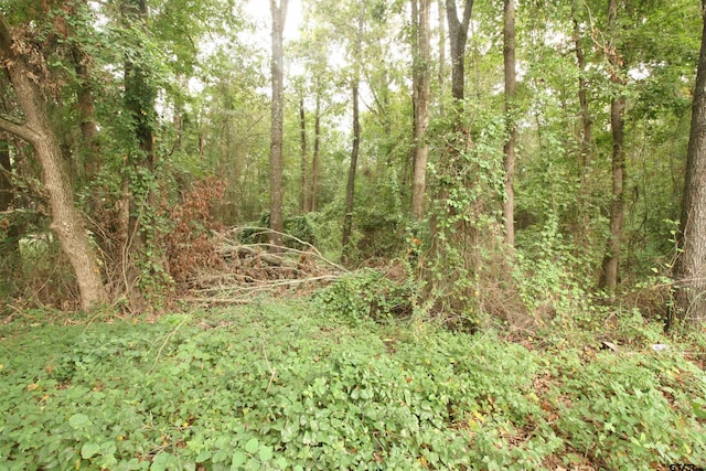 Listing photo 2 for LOT293 Eastwood Dr, Gilmer TX 75644