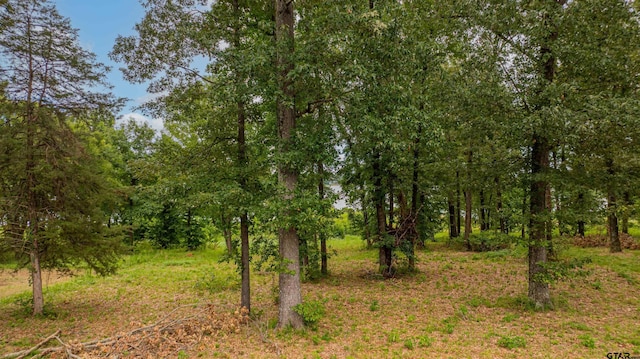 LOT22 Waters Edge Ln, Scroggins, TX 75480 - photo 13