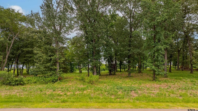 LOT22 Waters Edge Ln, Scroggins, TX 75480 - photo 12