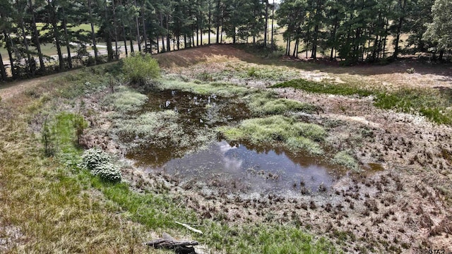 view of yard featuring a water view