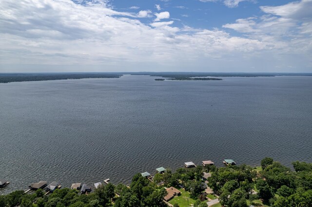 20851 Lakeview Dr, Flint, TX 75762 - water view