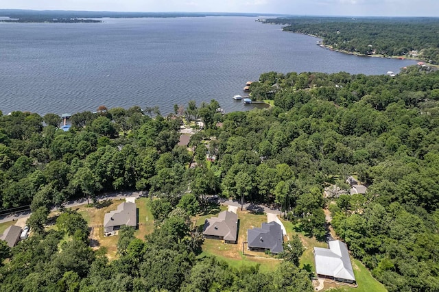 20851 Lakeview Dr, Flint, TX 75762 - bird's eye view of a heavily wooded area and a large body of water