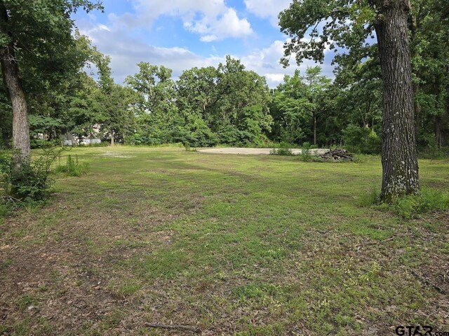 21264 Lauderdale Ln, Chandler, TX 75758