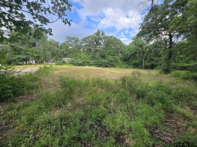 21264 Lauderdale Ln, Chandler, TX 75758