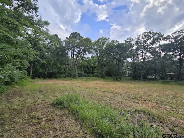 21264 Lauderdale Ln, Chandler, TX 75758