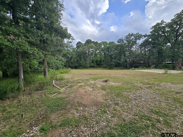 21264 Lauderdale Ln, Chandler, TX 75758