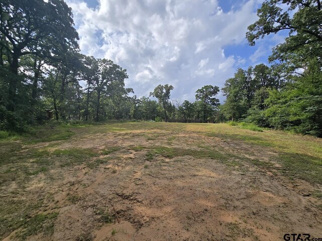 21264 Lauderdale Ln, Chandler, TX 75758