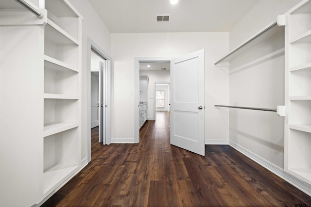 spacious closet featuring dark hardwood / wood-style floors