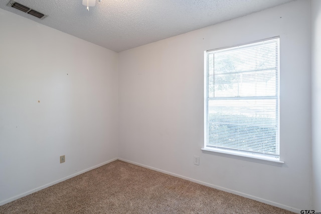 unfurnished room with carpet, a textured ceiling, and a healthy amount of sunlight