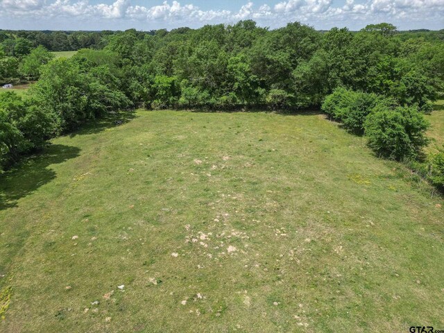 TBD Fm 1643, Winnsboro, TX 75494 - photo 3