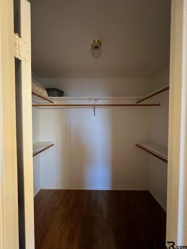 spacious closet featuring dark wood-style floors