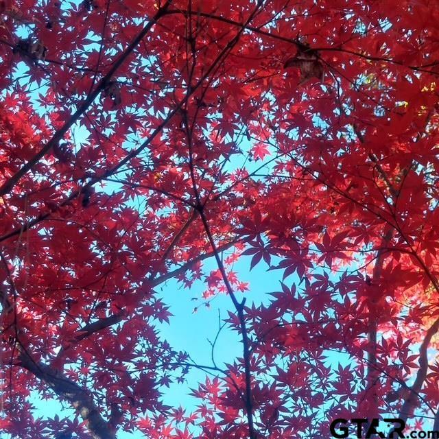 view of nature
