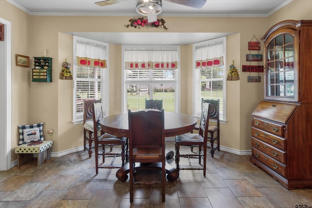 dining area with ceiling fan, a healthy amount of sunlight, and ornamental molding