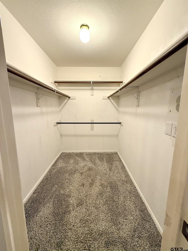 walk in closet featuring carpet flooring