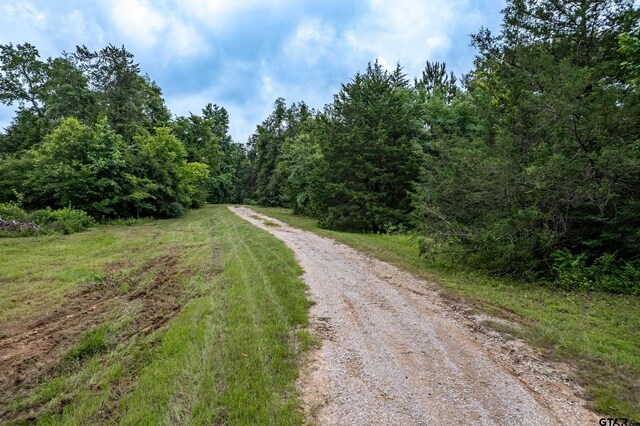 14546USHWY US Highway 271, Tyler, TX 75708