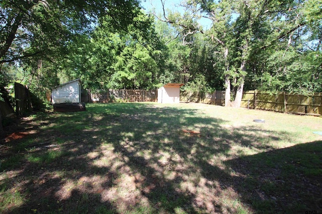 view of yard featuring a shed