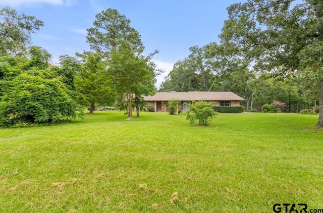 10516 Debbie Ln, Flint, TX 75762 - view of grassy yard