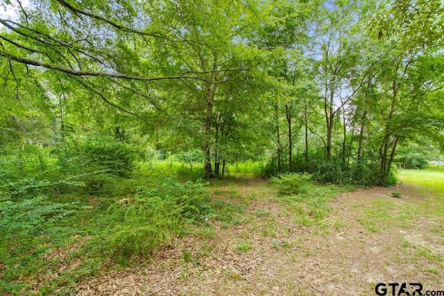 10516 Debbie Ln, Flint, TX 75762 - view of woods