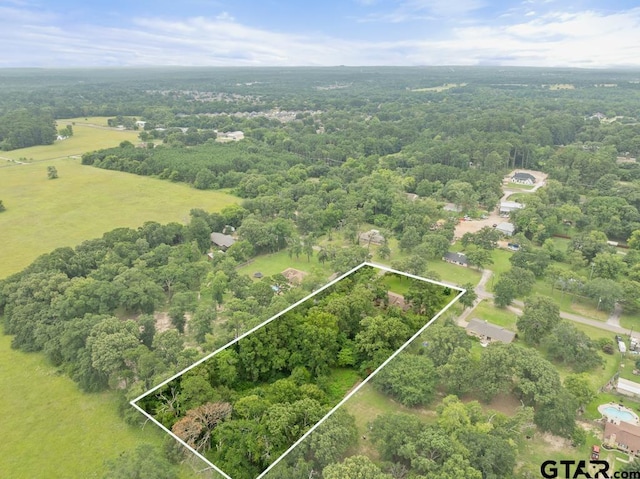 10516 Debbie Ln, Flint, TX 75762 - view of property location featuring property boundaries highlighted