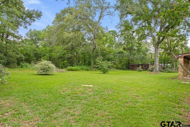 10516 Debbie Ln, Flint, TX 75762 - view of grassy yard featuring an outbuilding