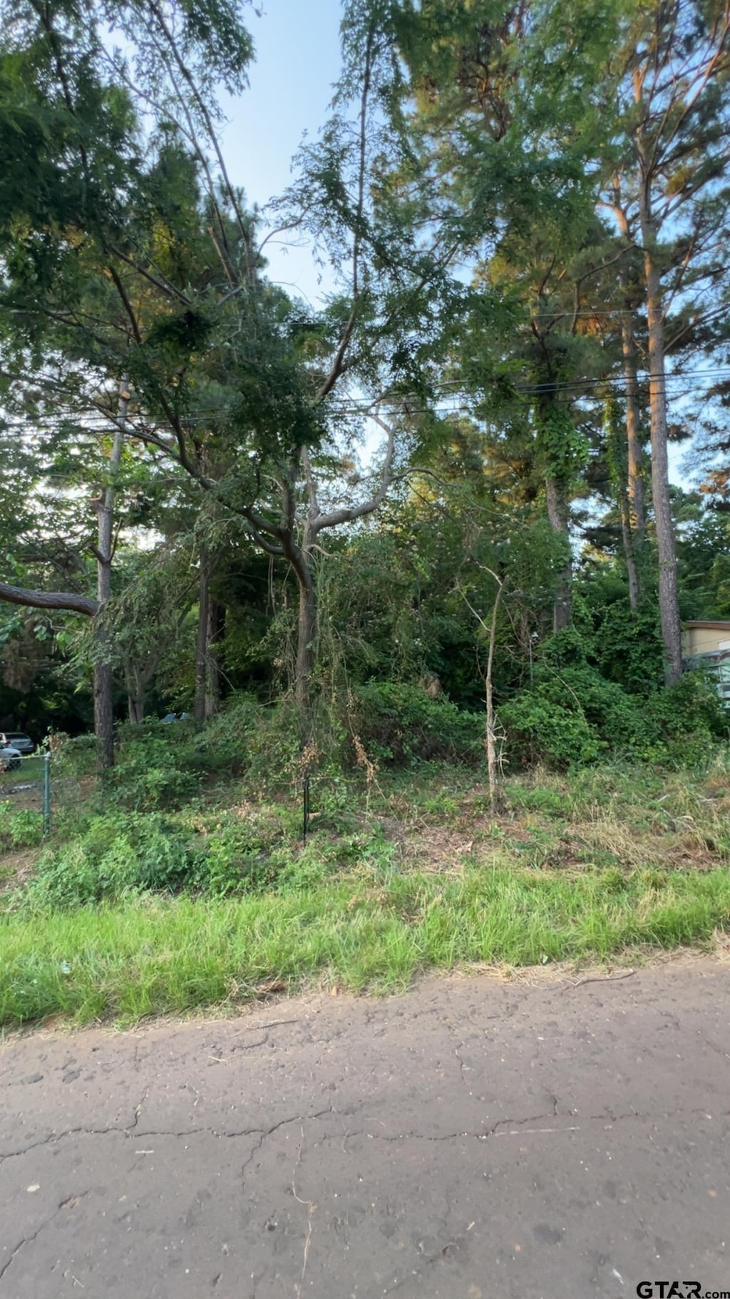 17214 Hillside Dr, Flint, TX 75762