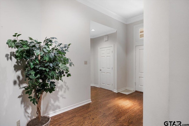 hallway featuring crown molding and dark hardwood / wood-style flooring