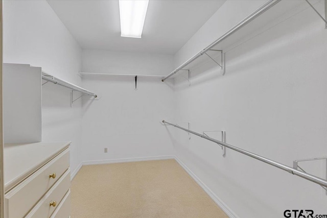 spacious closet with carpet floors