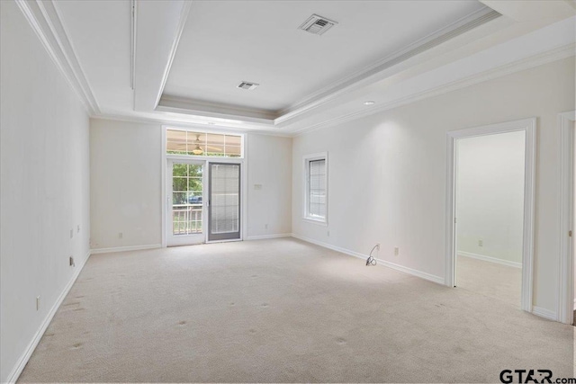 spare room with light colored carpet, crown molding, and a raised ceiling