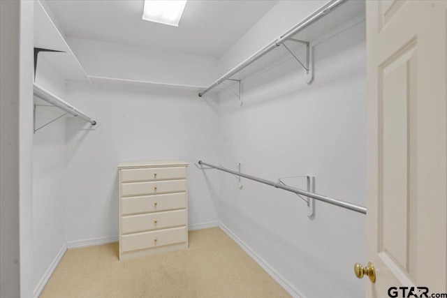 walk in closet featuring light colored carpet