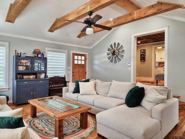 living room with lofted ceiling with beams, plenty of natural light, hardwood / wood-style flooring, and ceiling fan