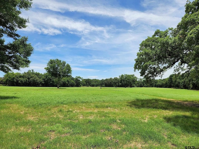 view of yard featuring a rural view