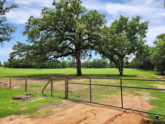 view of yard with a rural view