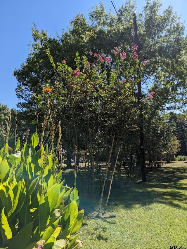 view of water feature