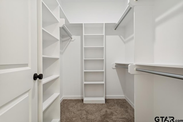 16330 Crossing Cir, Lindale, TX 75771 - walk in closet with carpet floors