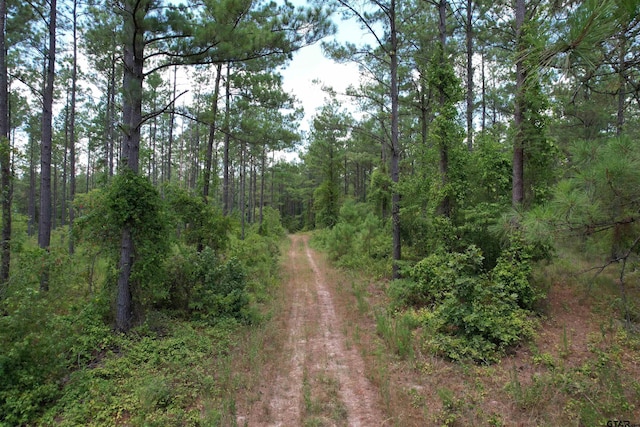TBD Fm 2423, Grapeland, TX 75844