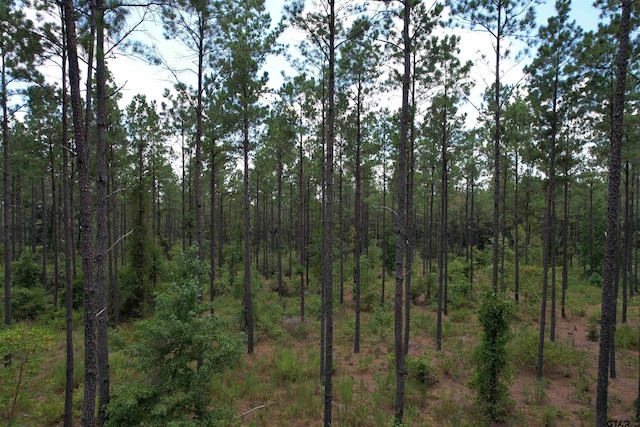 TBD Fm 2423, Grapeland, TX 75844
