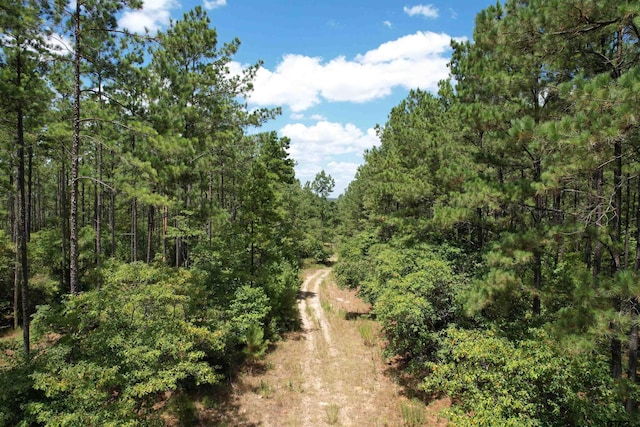 TBD Fm 2423, Grapeland, TX 75844