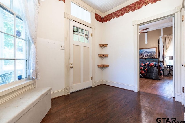 foyer entrance featuring ornamental molding, plenty of natural light, and dark hardwood / wood-style flooring