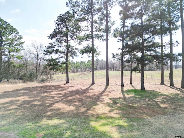 11790 E US Highway 175, Larue, TX 75770 - view of nature