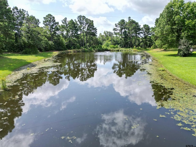 11790 E US Highway 175, Larue, TX 75770 - water view