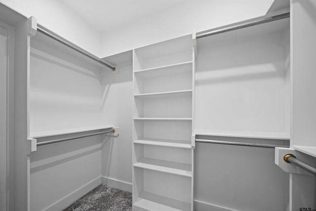 walk in closet with carpet