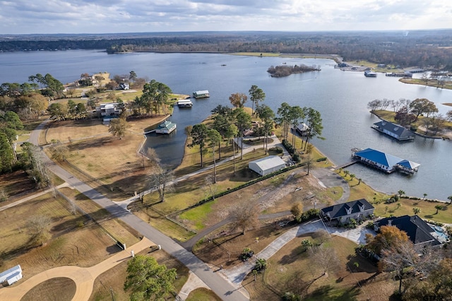 aerial view with a water view