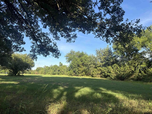 1226 Vz County Road 1801, Grand Saline, TX 75140 - photo 8