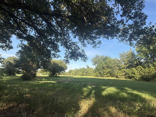 1226 Vz County Road 1801, Grand Saline, TX 75140 - photo 9
