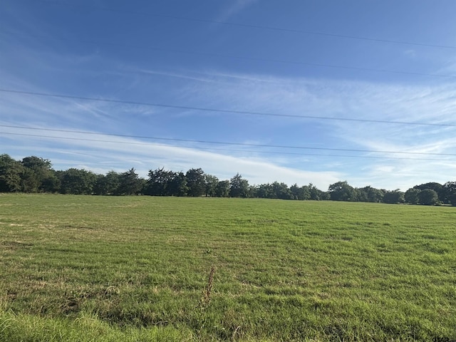 1226 Vz County Road 1801, Grand Saline, TX 75140 - photo 4